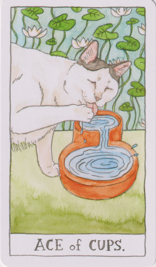 Ace of Cups Upright